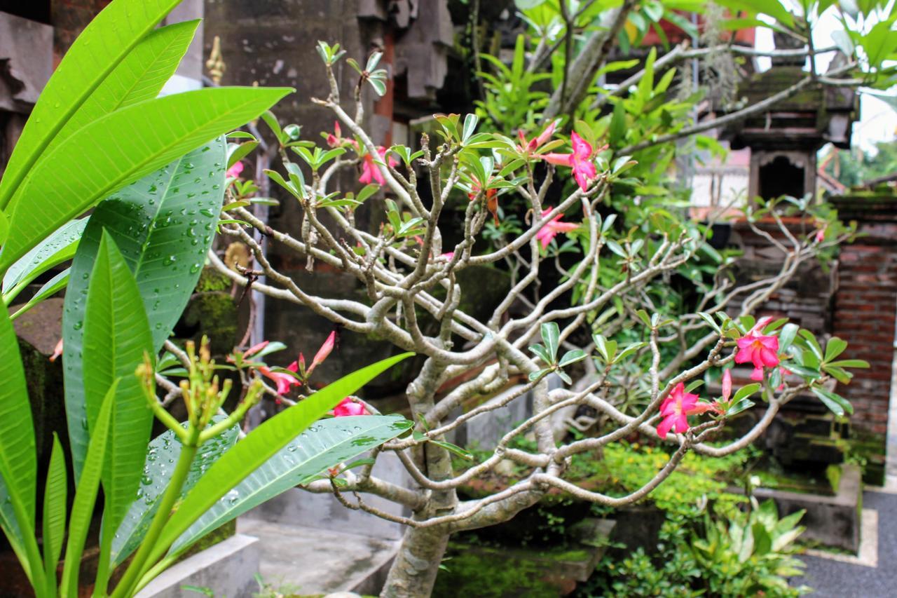 Rama Homestay Ubud Exteriér fotografie